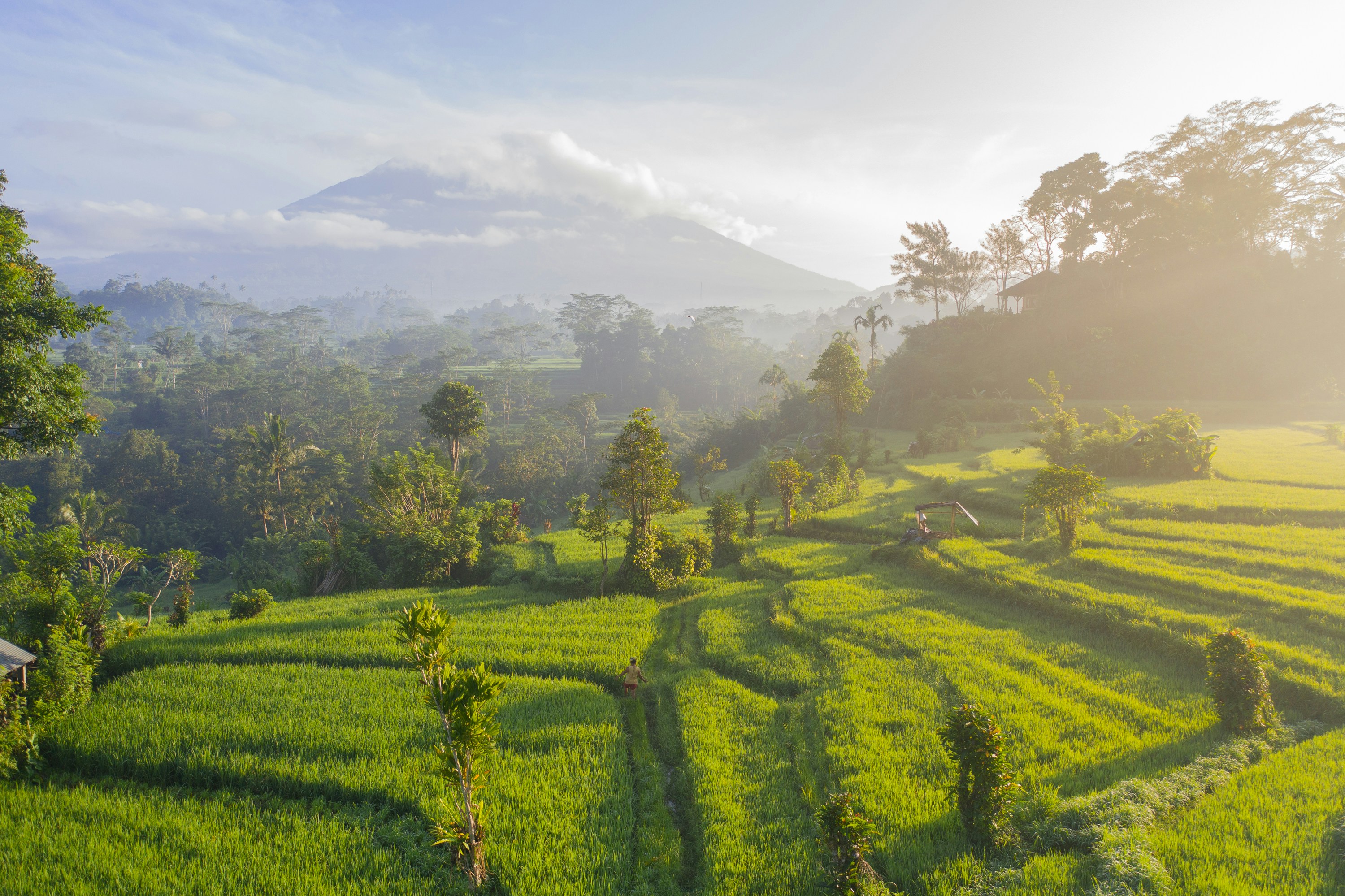 Photo credits: Geio Tischler, 2019 on UnSplash